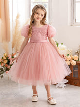 Young Girl Puff Sleeve Embroidered Mesh Princess Dress, Suitable For Birthday Party, Wedding, Flower Girl, Stage Performance